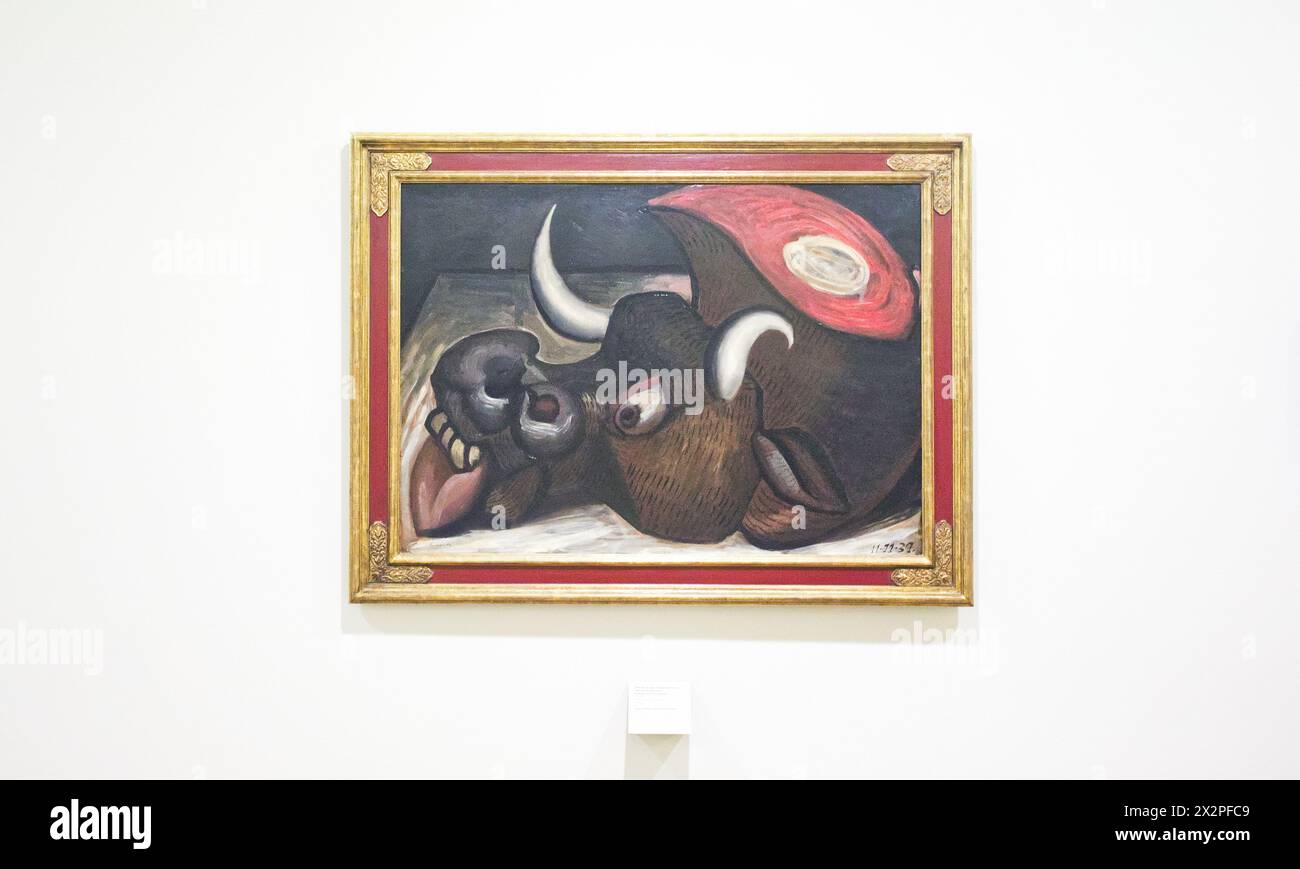 Oil. Head of a dead bull 1939. Author, Luis Fernández. Museum of Fine Arts of Asturias, Oviedo, Spain Stock Photo