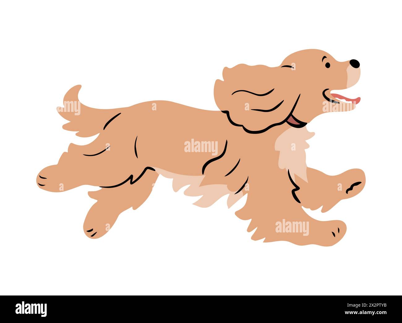 Cute cocker spaniel with big ears Stock Vector Image & Art - Alamy