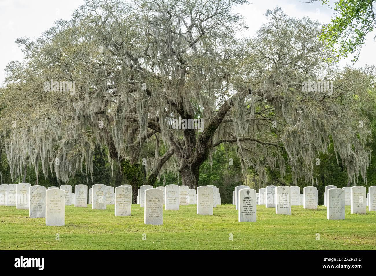 Gravestones of U.S. military veterans at the Florida National Cemetery in Bushnell, Florida. (USA) Stock Photo