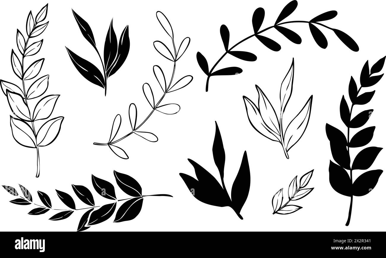 Vector plants and branches with leaves set. Hand drawn botanical illustration painted by black inks on isolated background in outline style. Silhouette of nature elements for icon or logo. Line art. Stock Vector