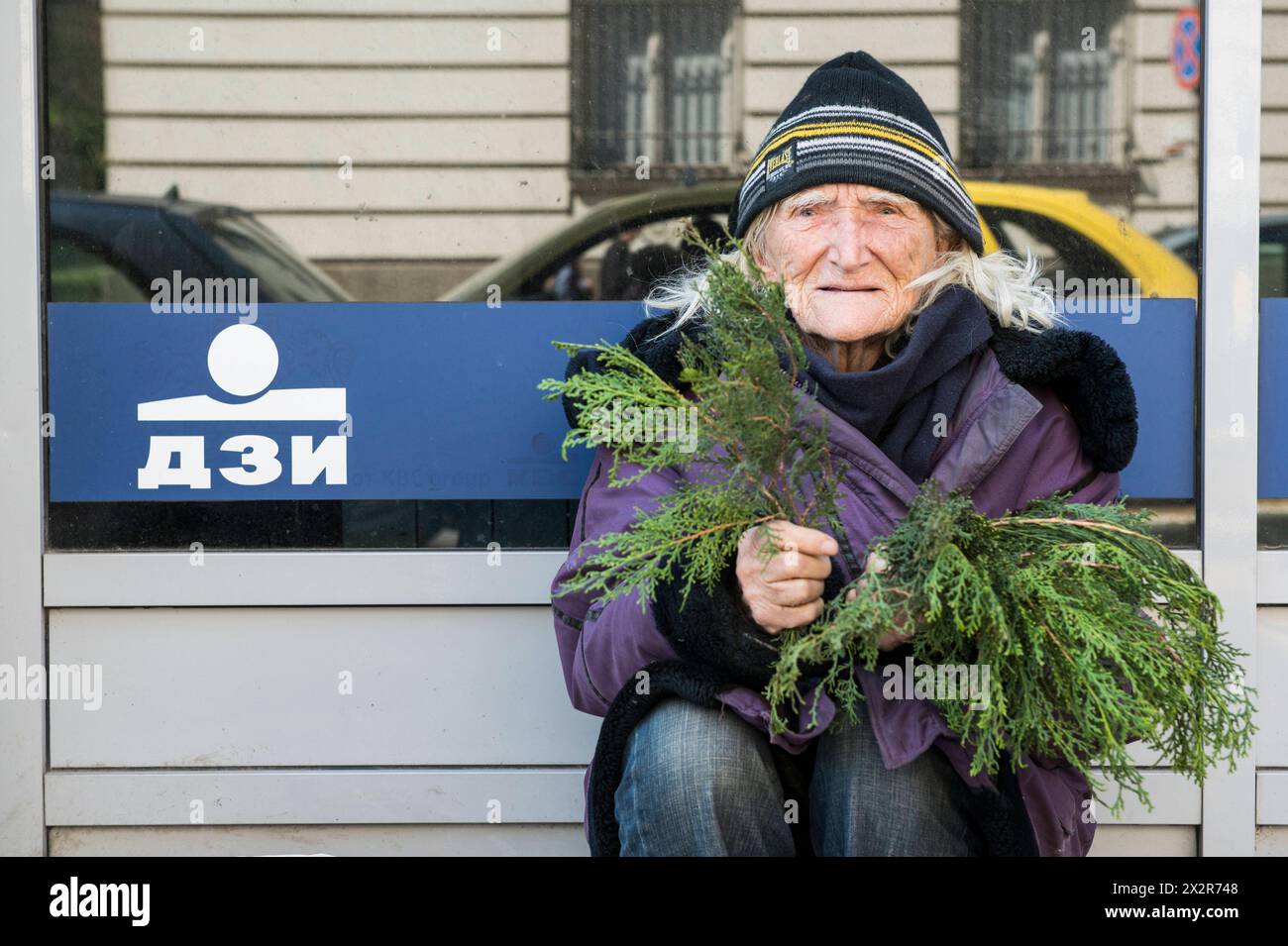 Woman Begging for Craps of Money Senior adult, retired woman trying to sell bits and pieces of vegetables in her neighbourhood streets, to earn a bit of money to supplement her low income. Sofia, Bulgaria. Sofia Down Town Sofia Oblast Bulgaria Copyright: xGuidoxKoppesxPhotox Stock Photo