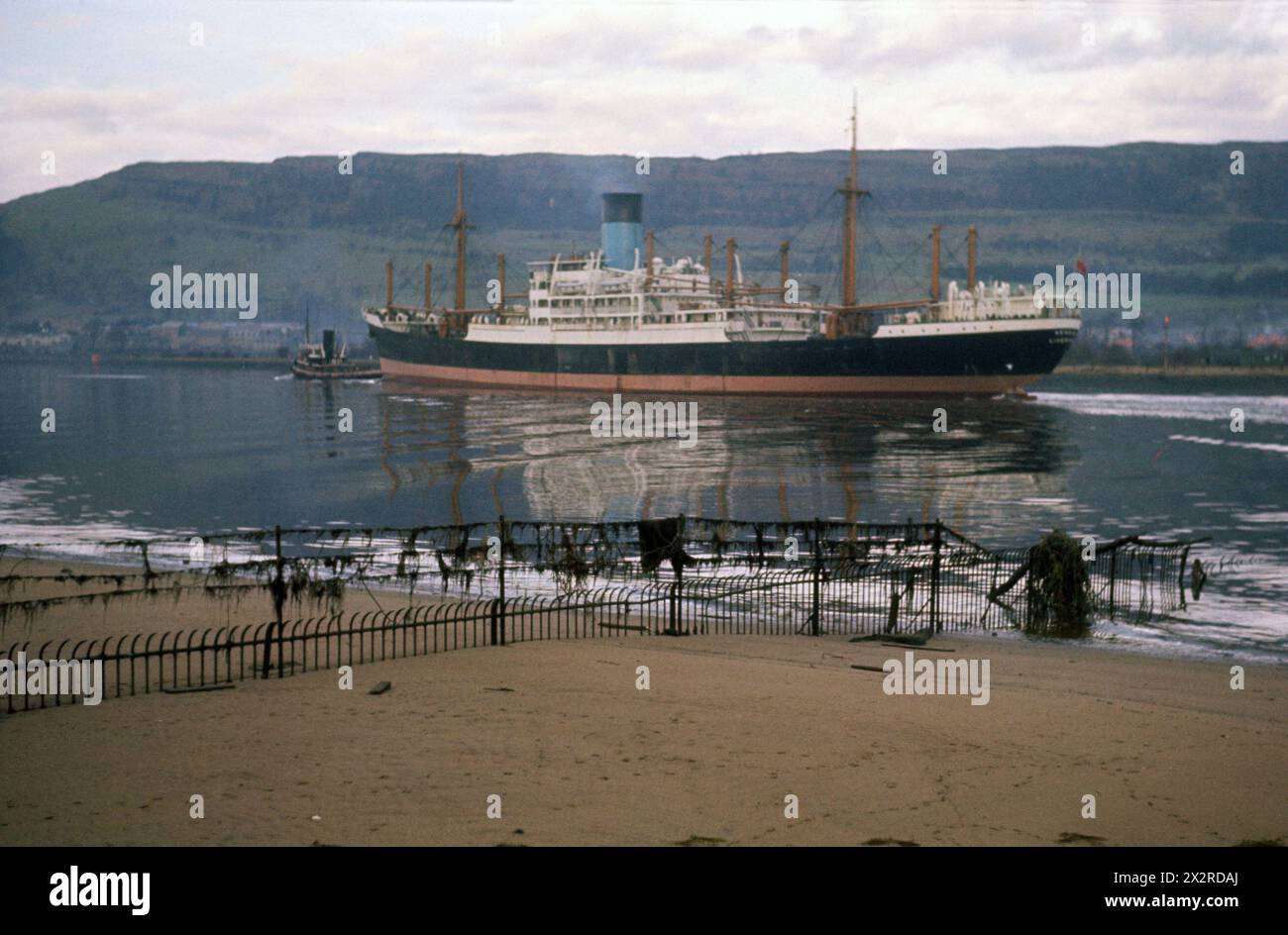 Lycaon (refrigerated cargo ship) passing Erskine on the River Clyde. 28 December 1960. Built Vickers-Armstrongs, Newcastle in 1954. Sunk 1979 off Rangoon. Photographed while with Blue Funnel Line. Stock Photo