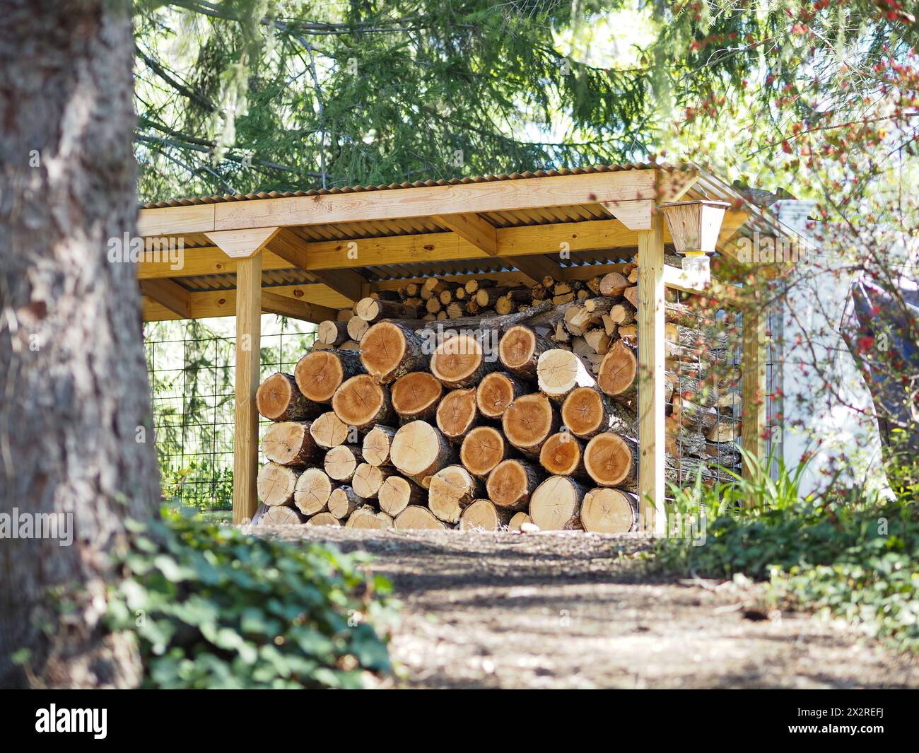 View of a stacked firewood on rack for home heat use, wood pile showing cut end of logs. Stock Photo