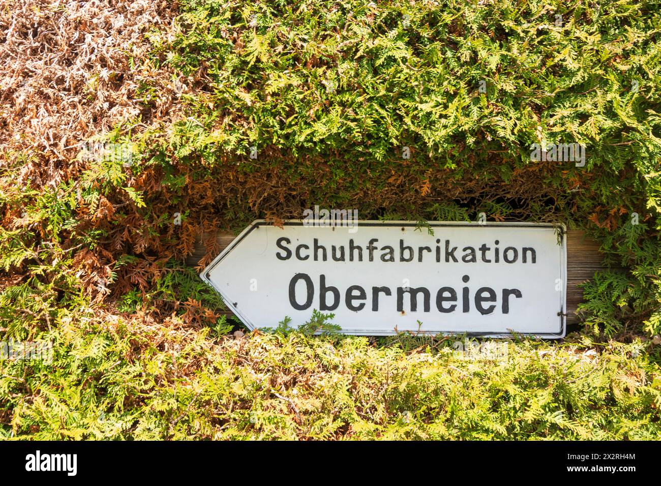 Valley: sign Schuhfabrikation in deep vegetation in Oberbayern, Tegernsee Schliersee, Upper Bavaria, Bayern, Bavaria, Germany Stock Photo