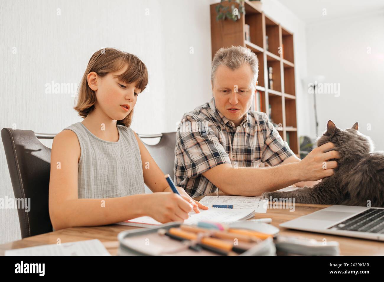 Man petting cat and helping daughter doing homework at home Stock Photo