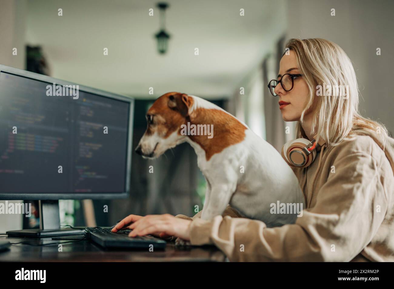 Software programmer coding on computer near dog at home office Stock Photo