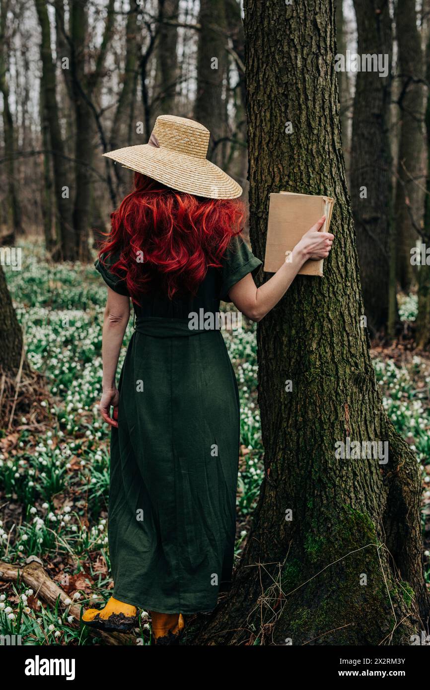 Book tree forest hi-res stock photography and images - Alamy