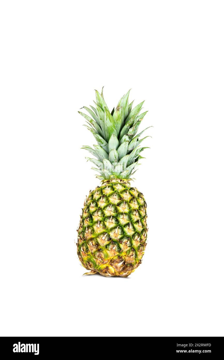 Fresh whole pineapple isolated on white background. Stock Photo