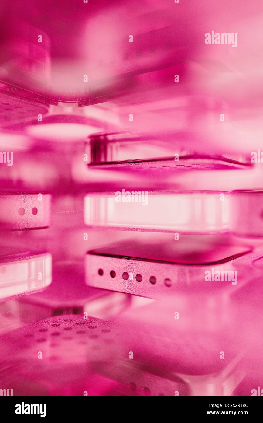 Layers of microchip with illuminated pink light Stock Photo