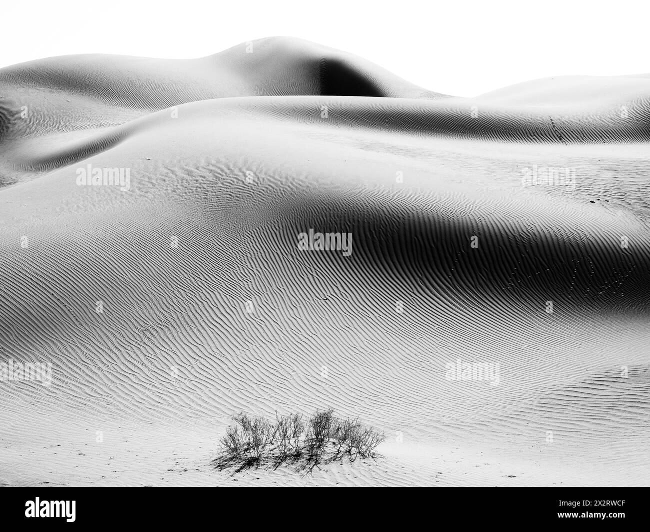 Sand dunes of Sahara desert at Morocco, North Africa Stock Photo