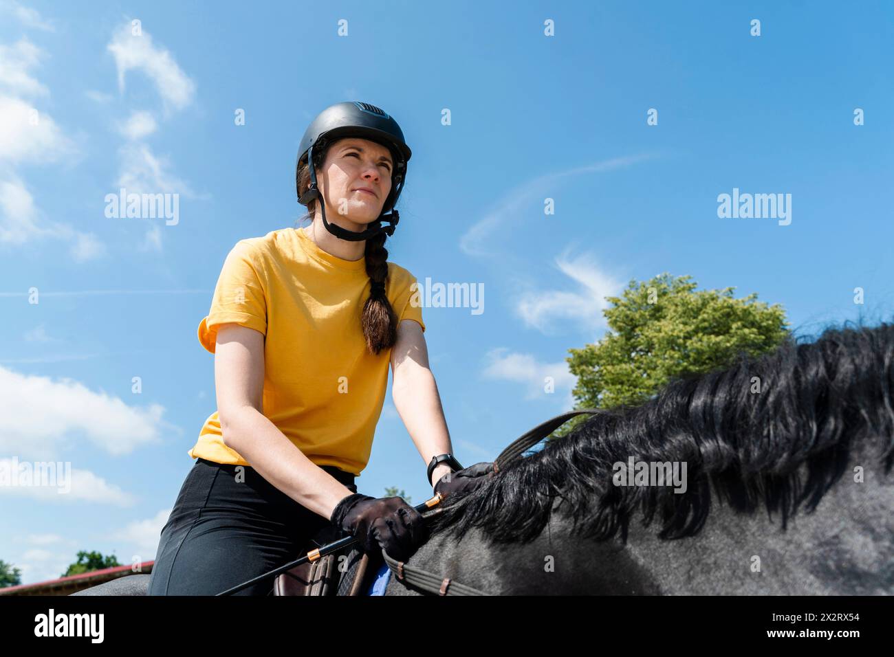 Confidence instructor riding black horse on sunny day Stock Photo - Alamy