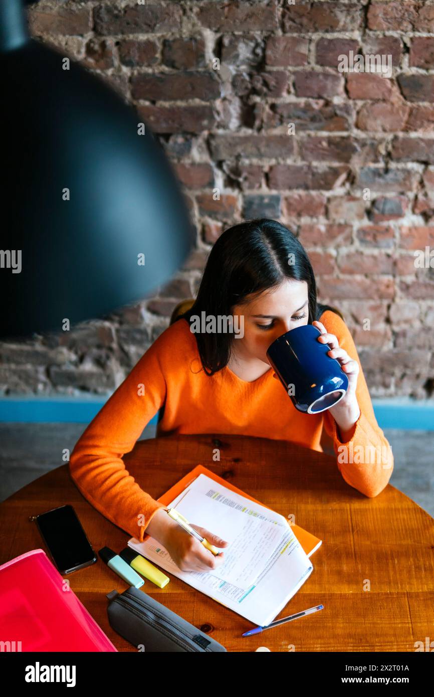 Woman studying and drinking coffee at restaurant Stock Photo