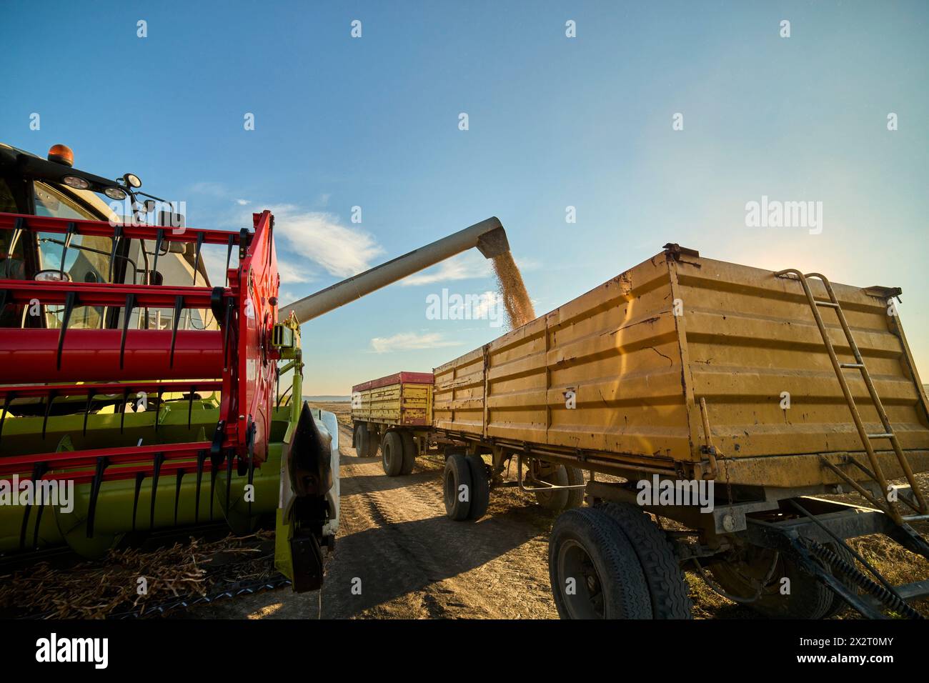 Combine harvester unloading freshly harvested soybeans in truck at farm Stock Photo