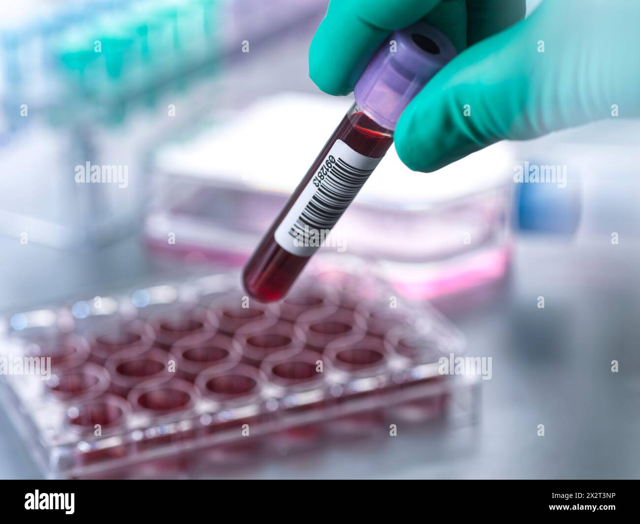 Scientist holding blood collection tube at laboratory Stock Photo