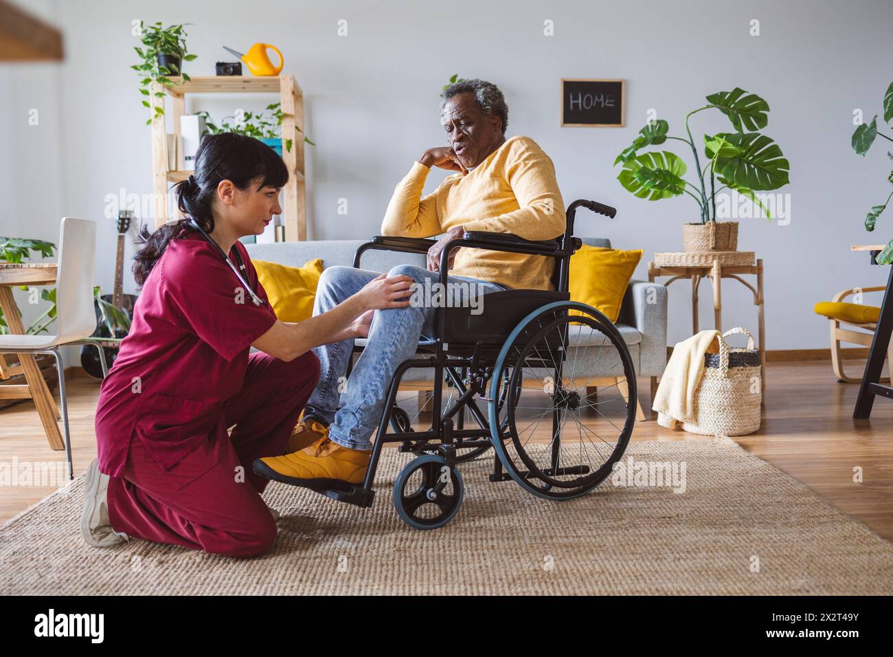 Orthopedist examining knee of senior man sitting in wheelchair at home Stock Photo