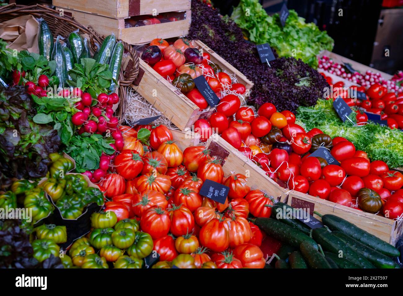 Variety of fresh red tomatoes in crates at market Stock Photo