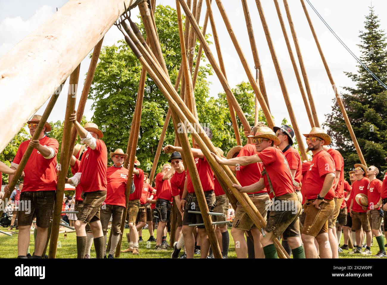 People lifting their maypole hi-res stock photography and images - Alamy