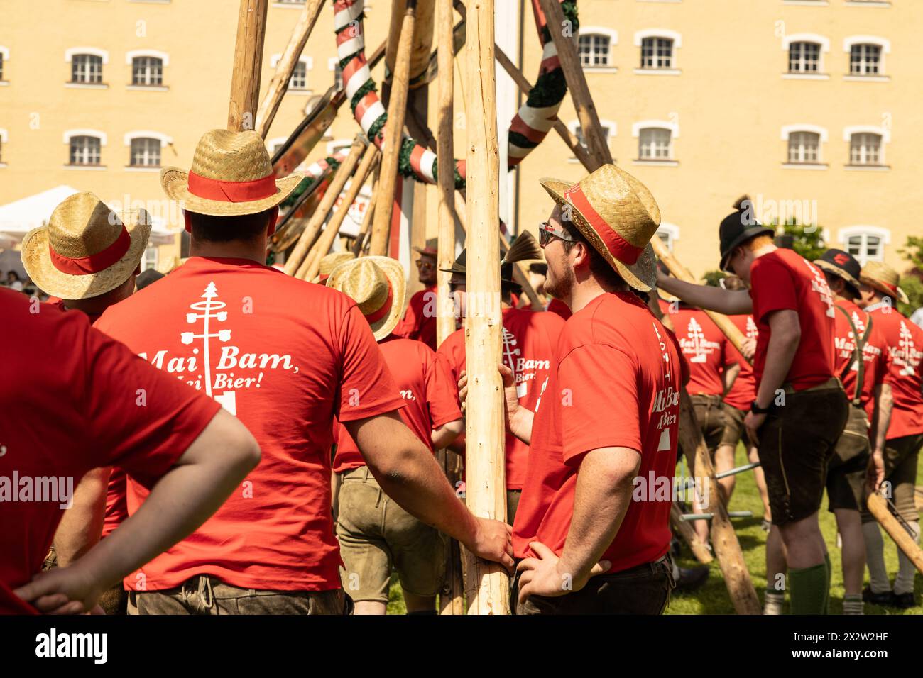 AUSTRIA, SALZBURG - 7 MAI, 2023: young men in national shorts and hats plant a maypole in the grounds of Stiegl Stock Photo