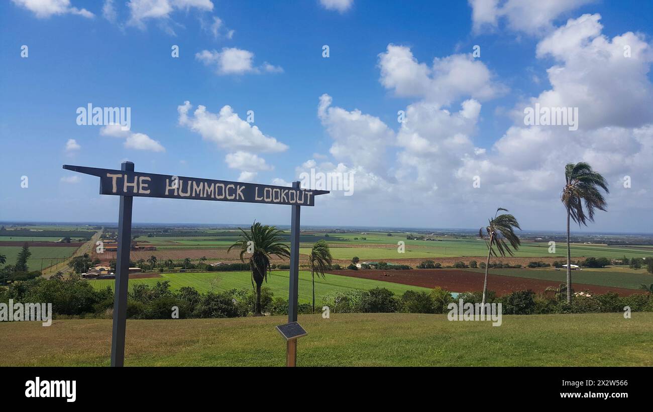 Bundaberg Australia is the business centre for a major sugar cane growing area, and is well known for its export of Bundaberg Rum and is an important Stock Photo