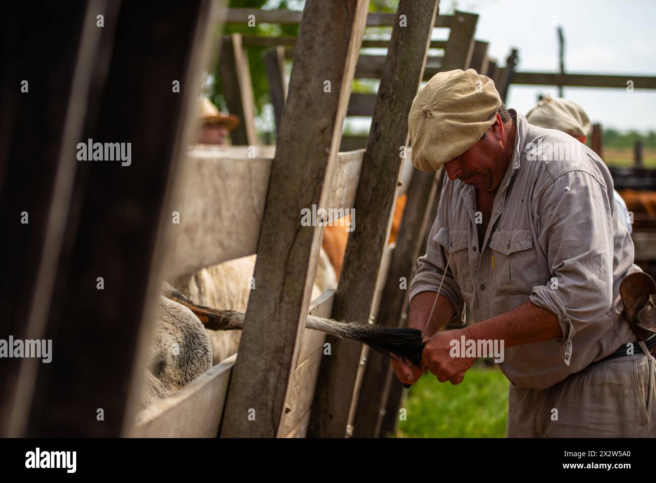 Rural workers on duty in a ranch in Argentina. Stock Photo