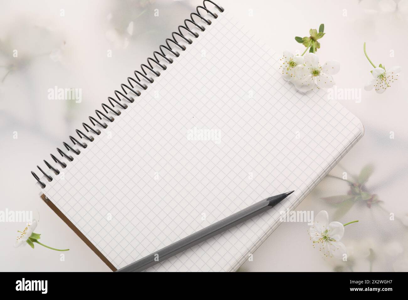 Guest list. Notebook, pencil and beautiful cherry tree blossoms on spring floral background, flat lay Stock Photo