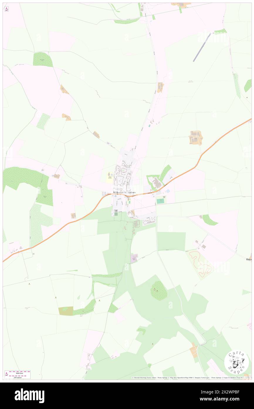 Milborne St Andrew, Dorset, GB, United Kingdom, England, N 50 46' 41