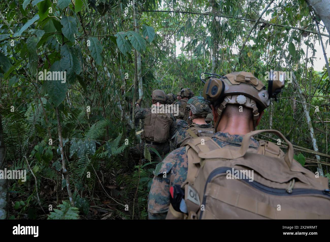 U.S. Marines with Echo Company, 2nd Battalion, 1st Marine Regiment, 1st Marine Division, participate in a jungle patrol during jungle operations and survival training as part of Marine Exercise 2024 near Cotabato City, Mindanao, Philippines, April 12, 2024. MAREX 2024 is a bilateral exercise between the U.S. Marine Corps and the Philippine Marine Corps designed to further enhance relationships, interoperability, and combined arms capabilities in a realistic training environment.  (U.S. Marine Corps photo by Lance Cpl. Andrew Whistler) Stock Photo