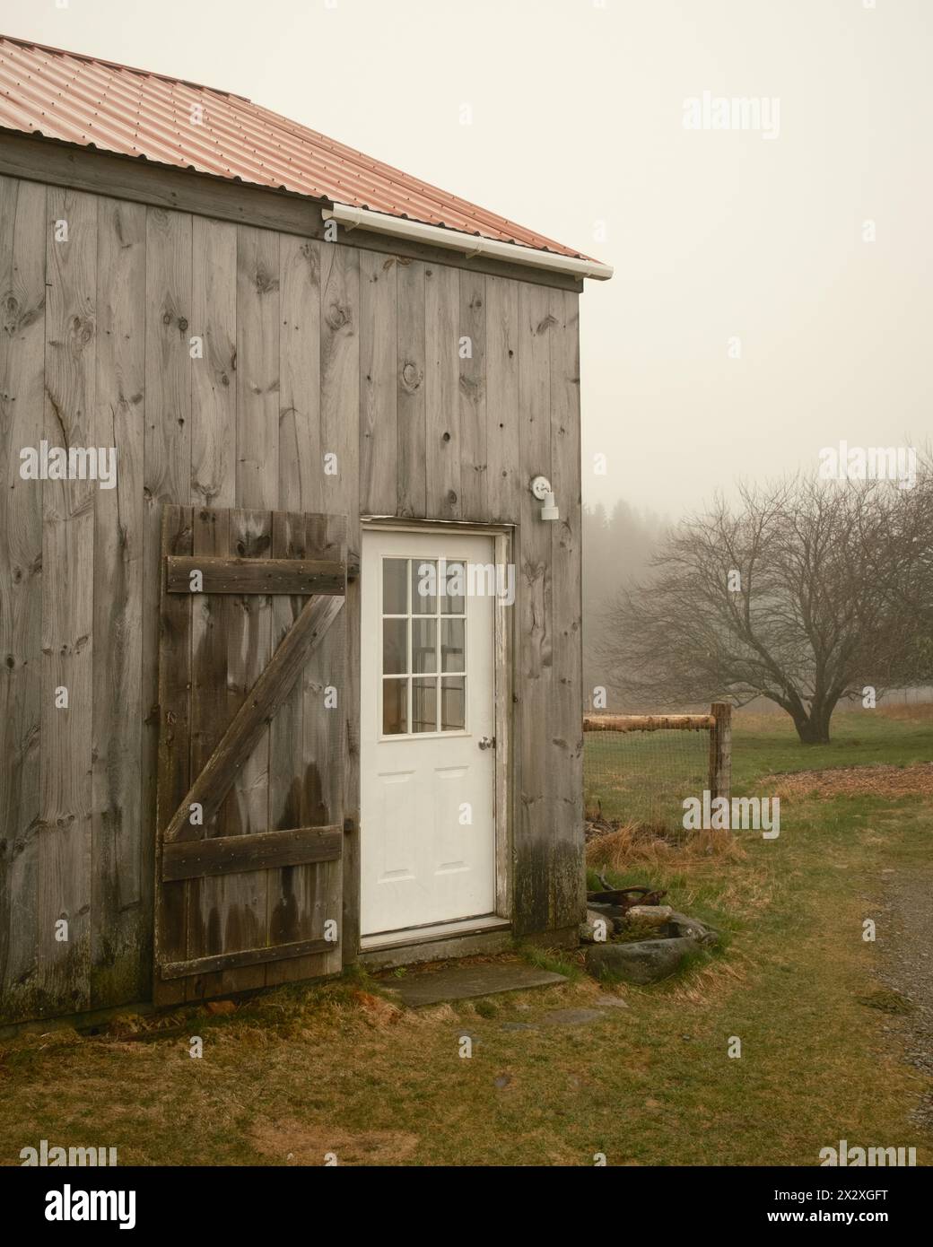 A barn in fog on Beals Island, Maine Stock Photo