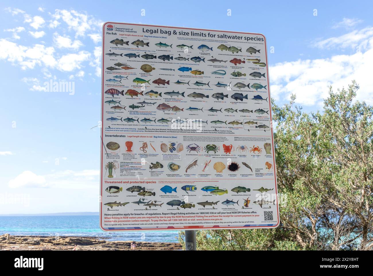 Fish identification and size limits sign jervis bay marine park hires stock photography and