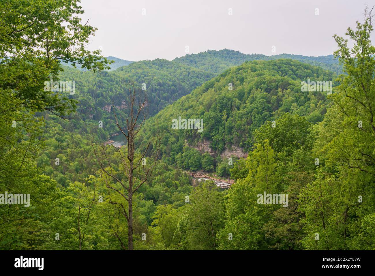 The Gauley River National Recreation Area Popular Hiking and Canoeing