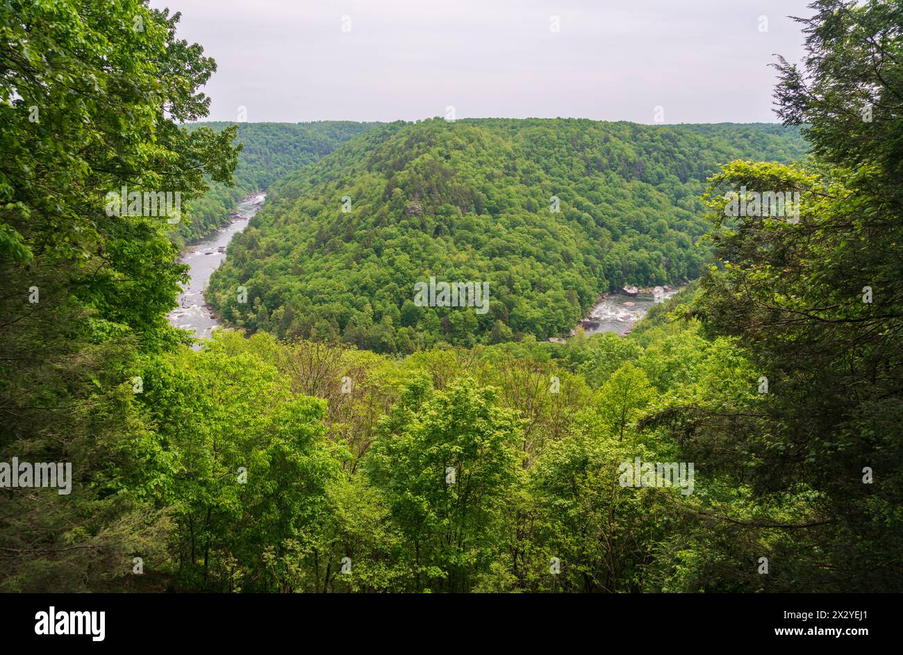 The Carnifex Ferry State Park, American Civil War battle site in West Virginia, USA Stock Photo