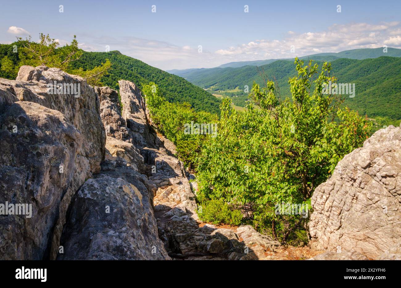 The Seneca Rocks, Rock Climbing Destination Spruce KnobSeneca Rocks