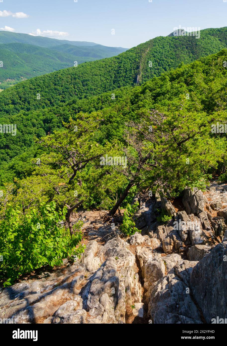 The Spruce KnobSeneca Rocks National Recreation Area, Park in Riverton