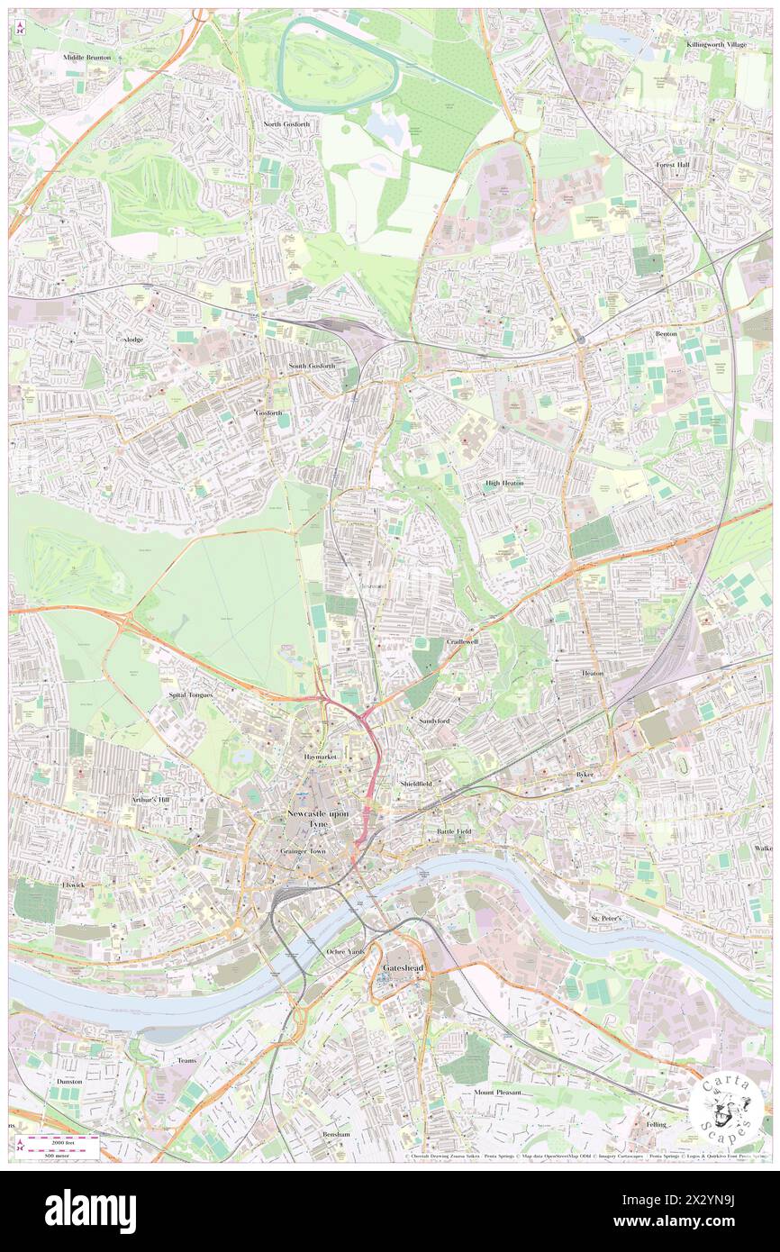 Carlton Newcastle, Newcastle upon Tyne, GB, United Kingdom, England, N