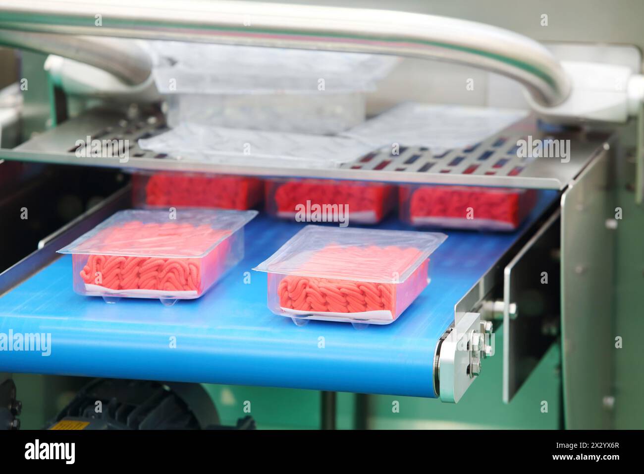 Demonstration of packaging machinery for ground meat and other meat products in plastic