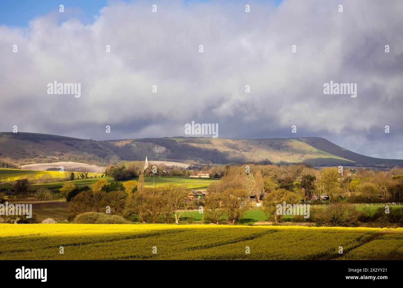 Spectacular views of rapeseed fields, Berwick church and the south