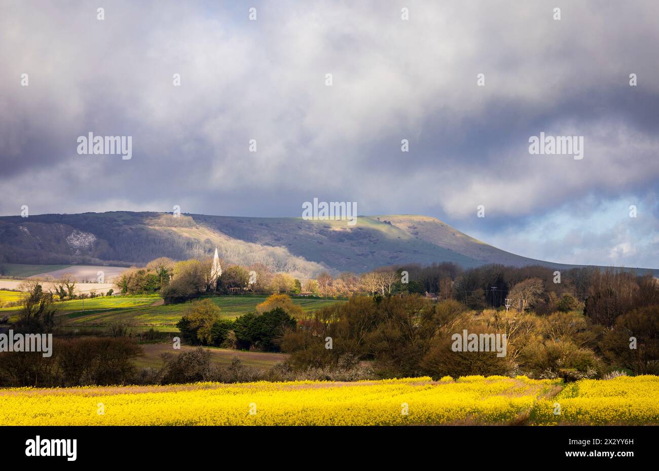 Spectacular views of rapeseed fields, Berwick church and the south  downs from Milton street in east Sussex south east England UK Stock Photo