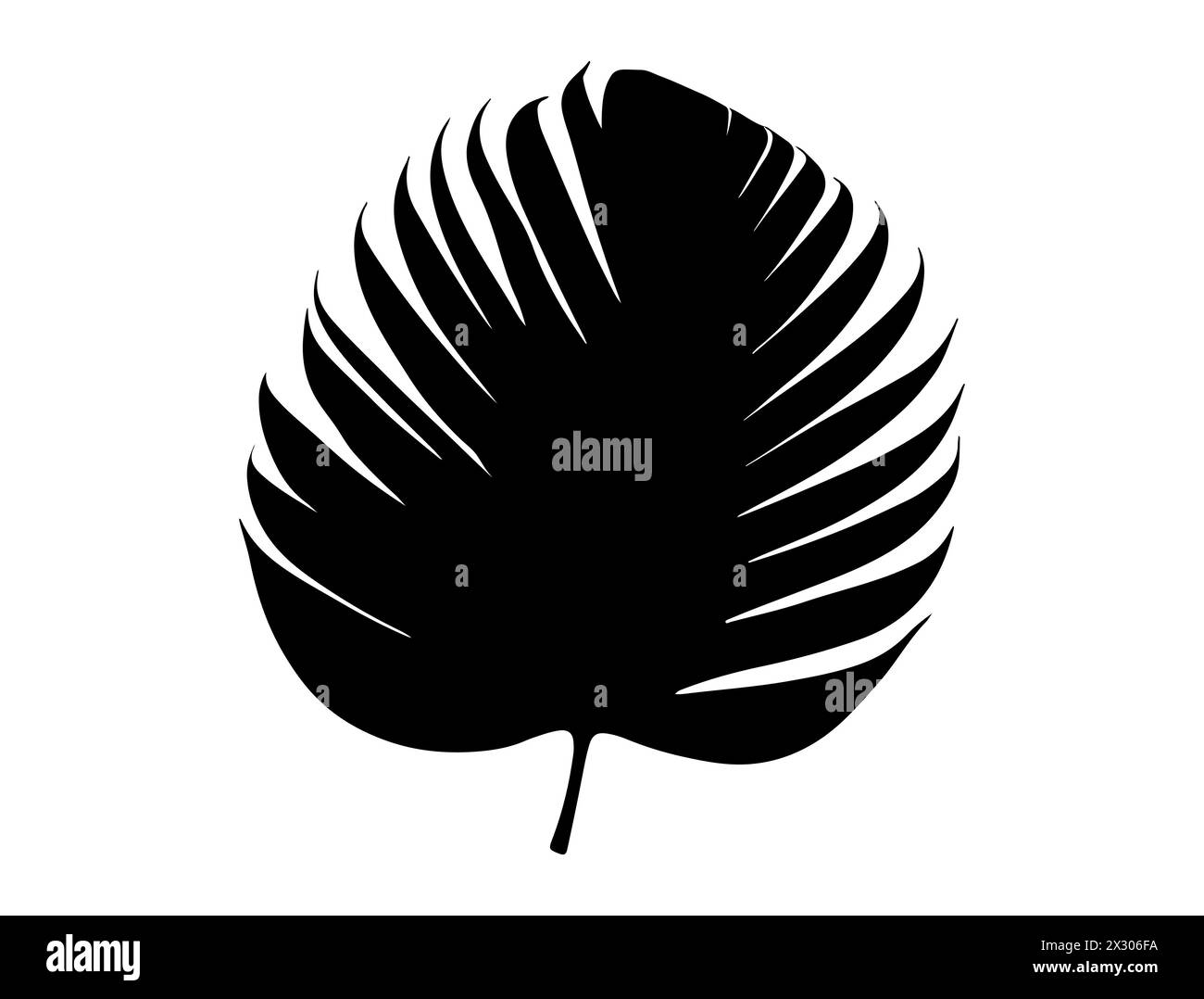 Tropical leaf silhouette vector art Stock Vector Image & Art - Alamy