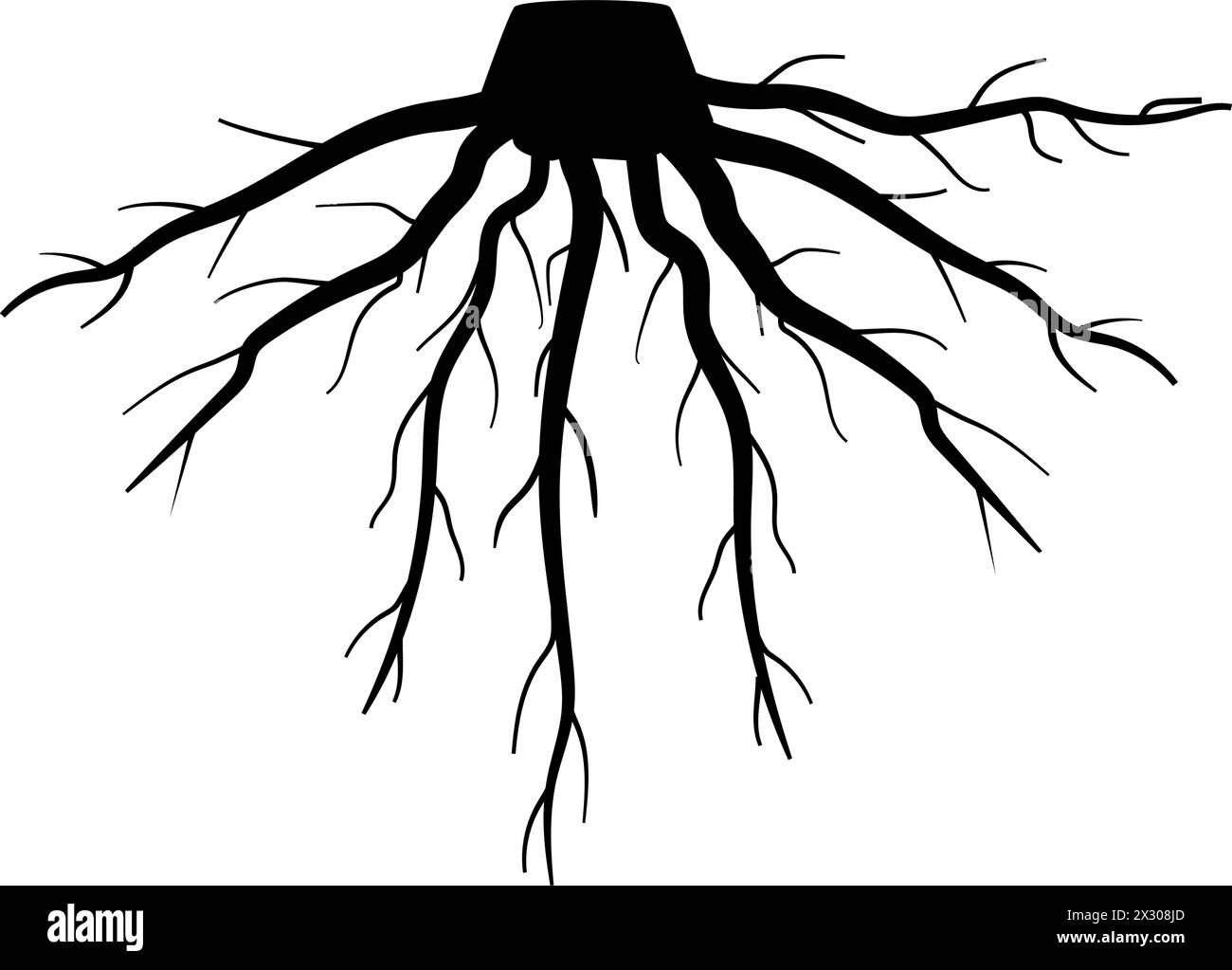 Tree root underground Black and White Stock Photos & Images - Alamy