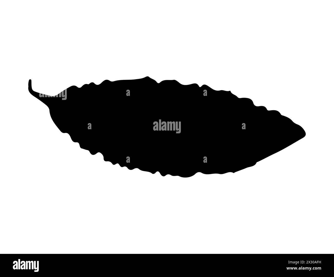 Bitter gourd silhouette vector art stock vector image art alamy