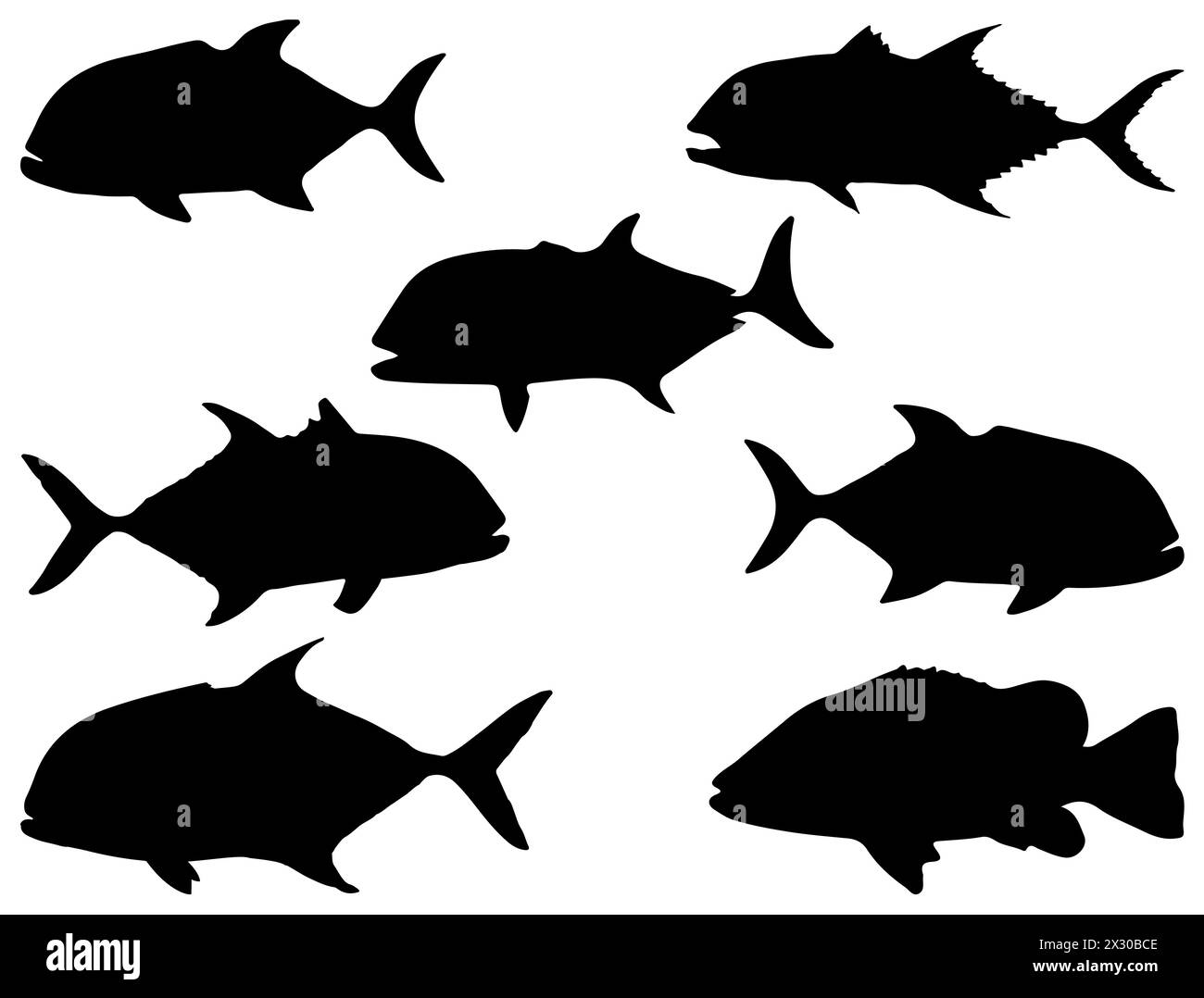 Giant Trevally Fish Silhouette Stock Vector Images Alamy giant-trevally-fish-silhouette-stock-vector-images-alamy