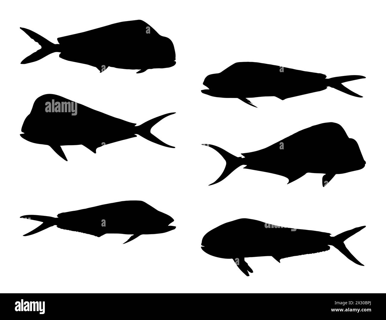 Mahi mahi fish silhouette vector art Stock Vector