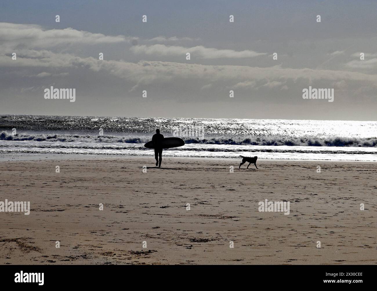 Cw 8666 Surfer and dog on Seaburn beach  On a spring morning a surfer walks up the beach at the seaside resort of Seaburn un-bothered by a dog who doe Stock Photo