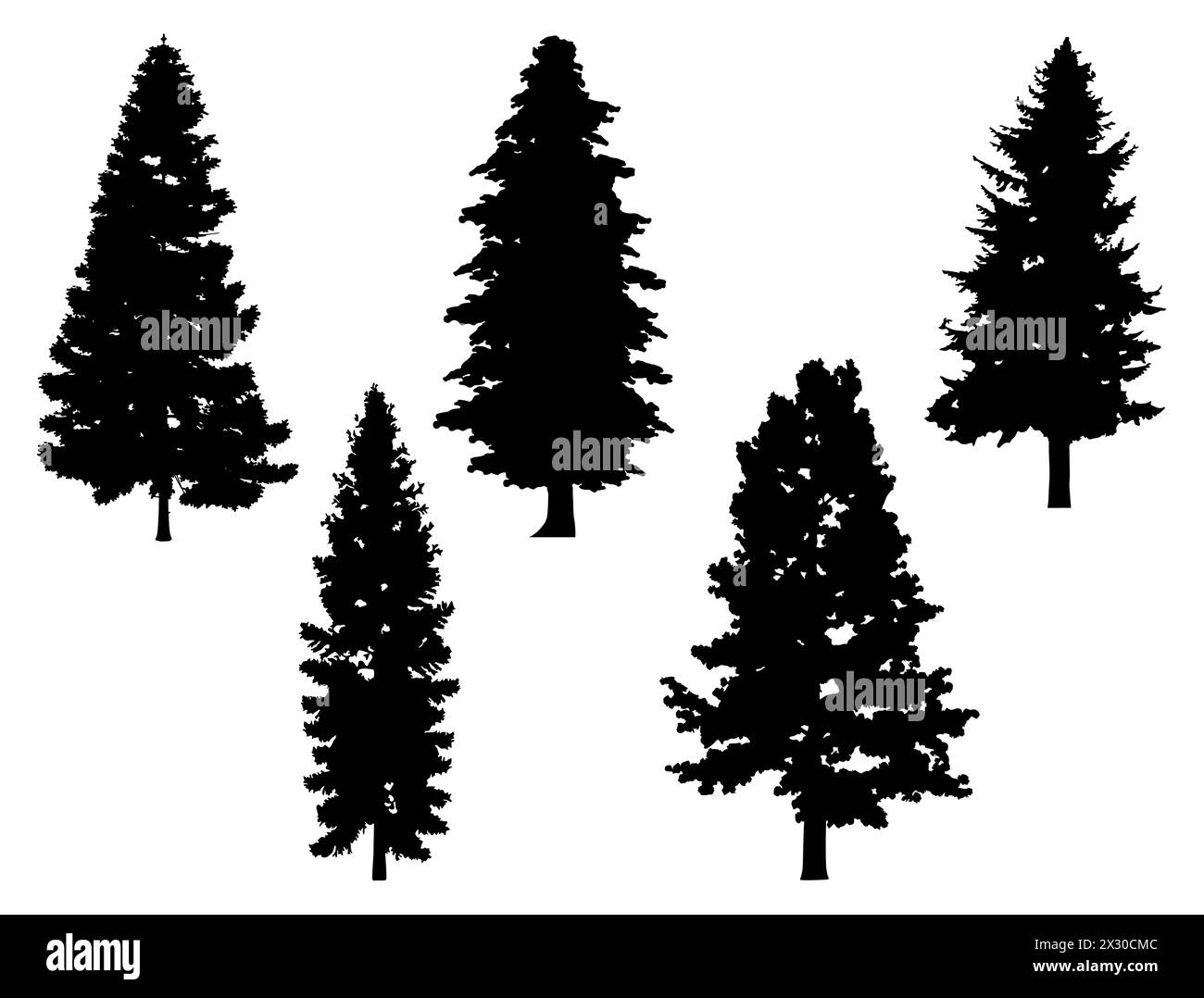Pine trees silhouette vector art Stock Vector