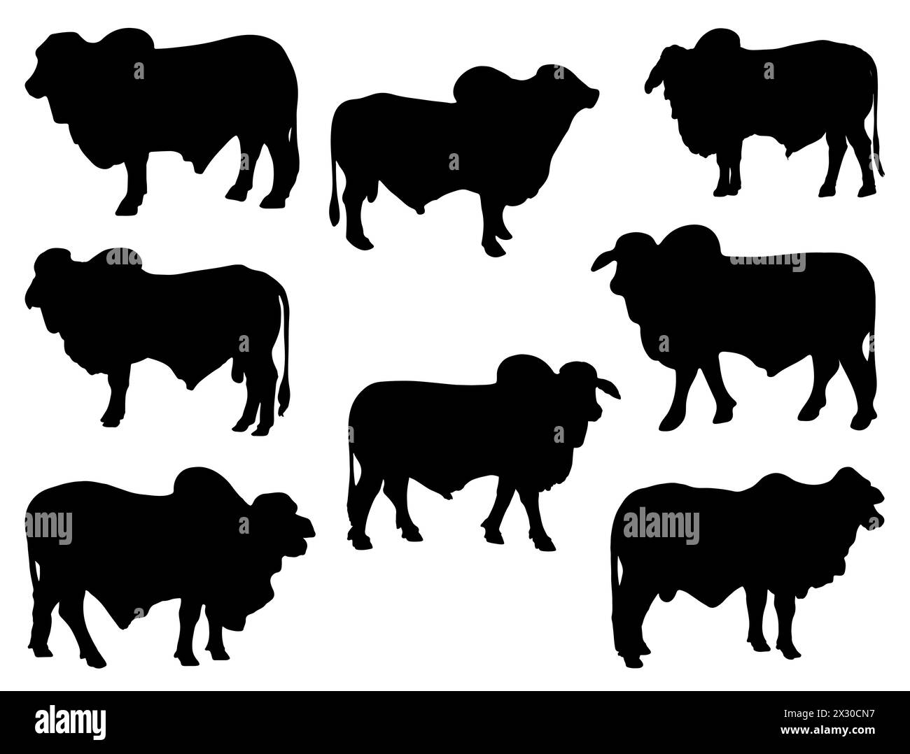 Brahman bulls silhouette vector art Stock Vector