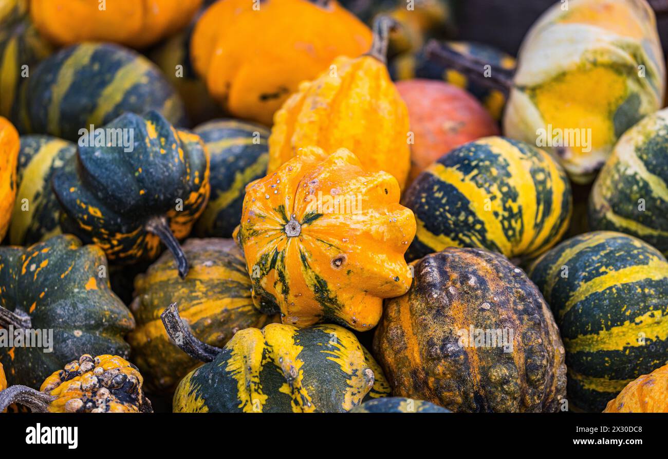 Traditioneller anlass hi-res stock photography and images - Alamy