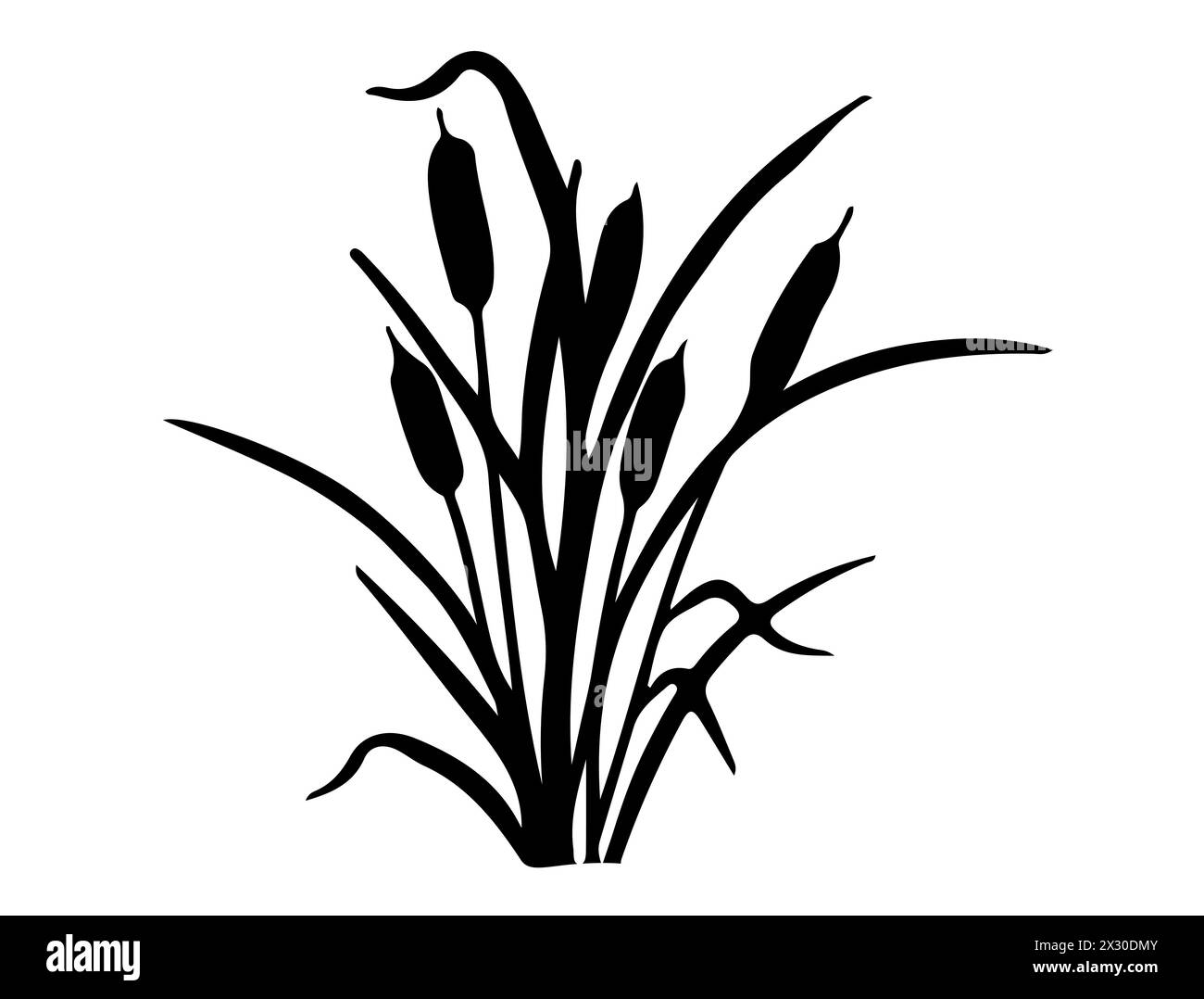 Cattail Silhouette Vector Art Stock Vector Image Art Alamy cattail-silhouette-vector-art-stock-vector-image-art-alamy