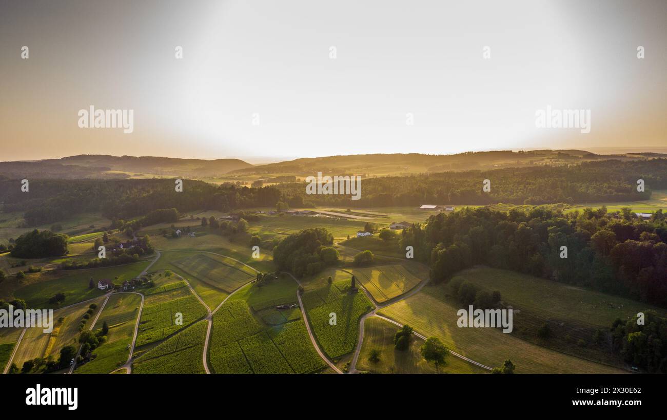 Besonders bekannt ist die Gemeinde Rafz im gleichnamige Rafzerfeld unmittelbar an der Landesgrenze zu Deutschland für den Weinanbau. Deshalb findet ma Stock Photo