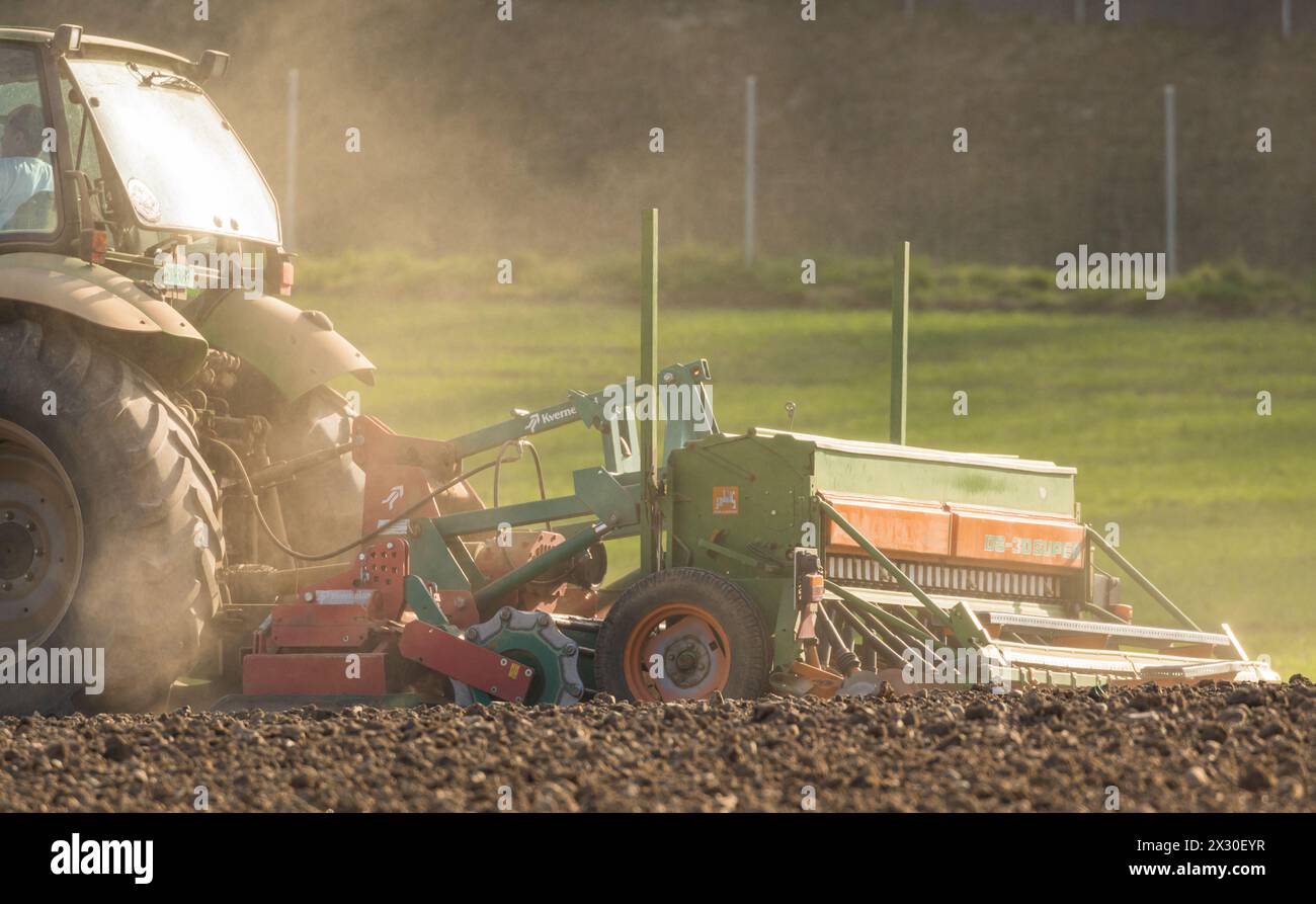 Ein Bauer ist mit seinem Traktor und der Sämaschine daran Saatgut in den Boden zu bringen. (Winkel ZH, Schweiz, 28.03.2022) Stock Photo