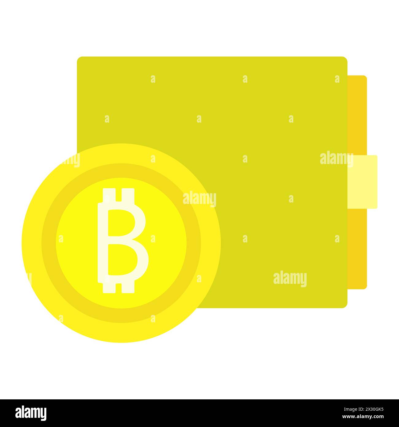 Bitcoin folder icon flat vector. Crypto money. Financial payment isolated  Stock Vector Image & Art - Alamy